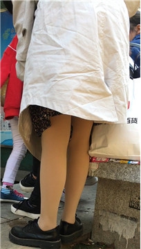 编号1675