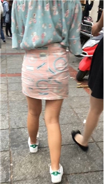 编号1647