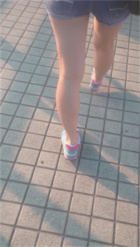 编号2625