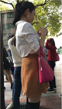 编号4987
