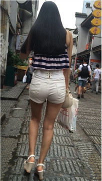 编号4585