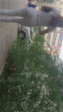 编号1505