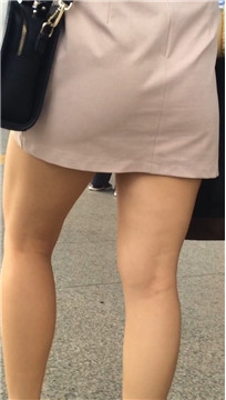 编号2341