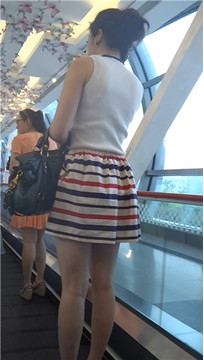 编号3637