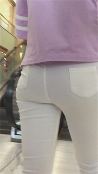 编号3579