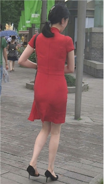 编号3795