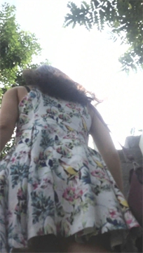 编号3941