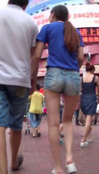 编号1238
