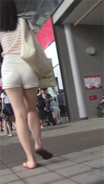 编号3567