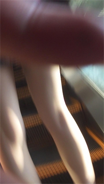 编号3961