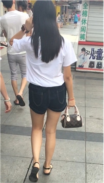 编号4486