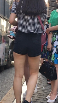 编号4533