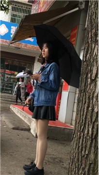 编号2086