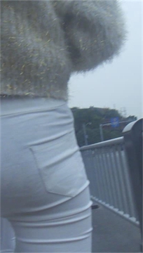 编号3482