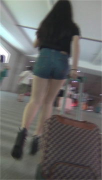 编号3505