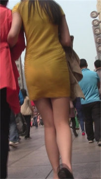 编号2524