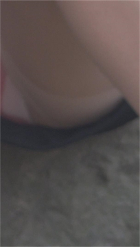 编号2638