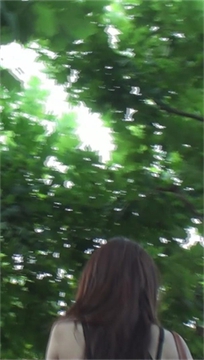 编号7952