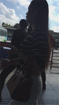 编号3553