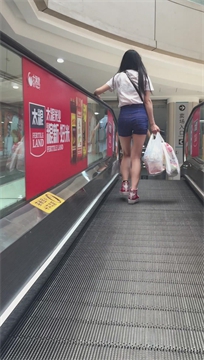编号3555