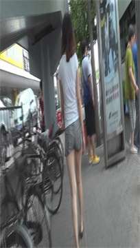 编号3544