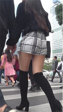 编号3919