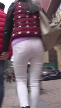 编号1533