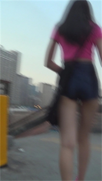 编号3402