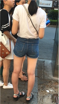 编号4485