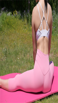 编号805
