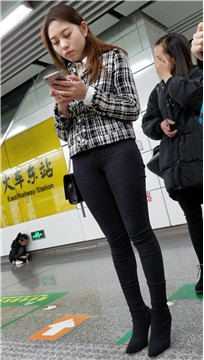 编号3119