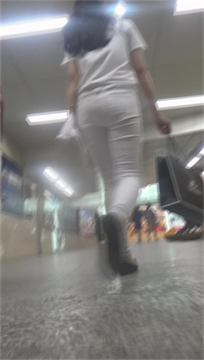 编号1503
