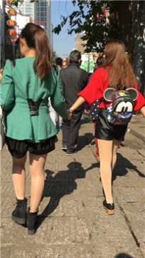 编号2306