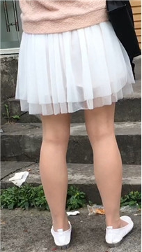 编号2365