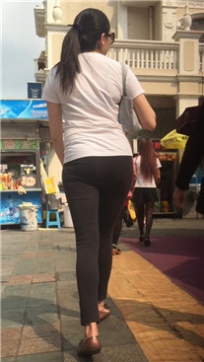 编号5552