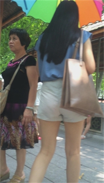 编号3368