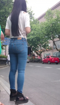 编号1259