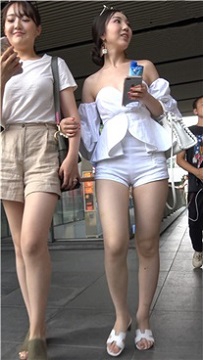 编号7645