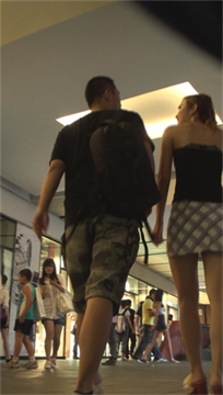 编号7955