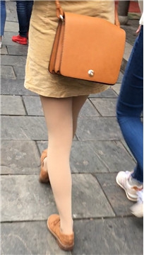 编号2260