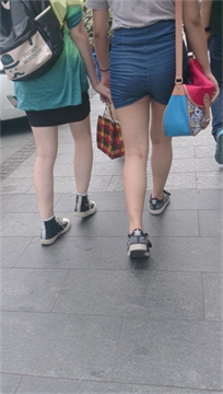 编号2704