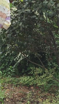 编号3429