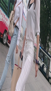 编号3615