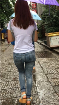 编号5531