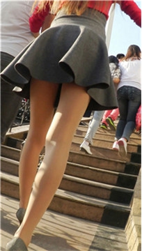 编号2449