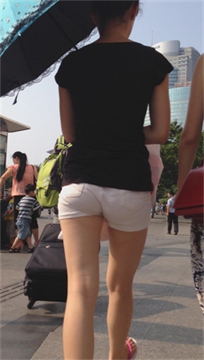 编号2649