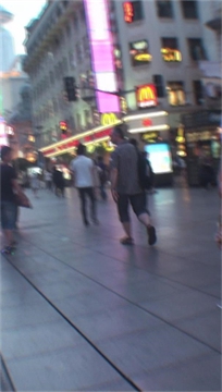 编号2629