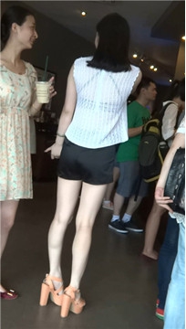编号3744