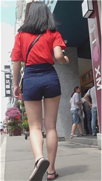编号4648
