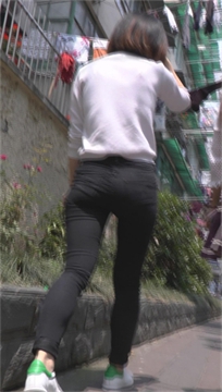 编号7256